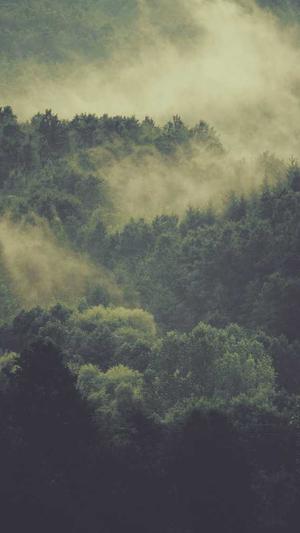 网站建设步骤截图1