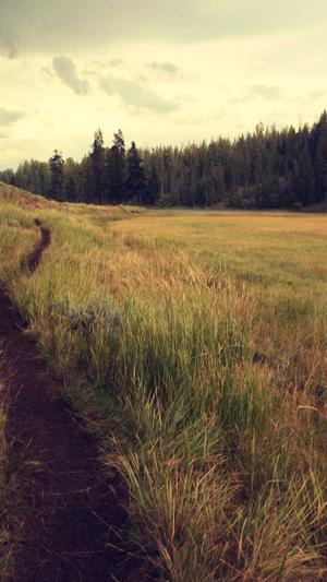 泛目录跟shell差别截图4