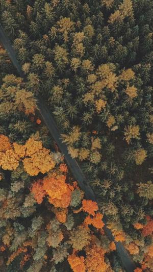 seo优化人员截图5