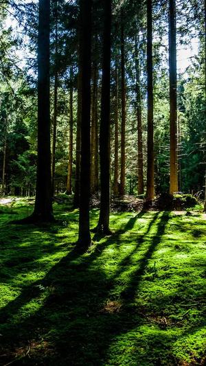 郑州建设网站多少钱截图1