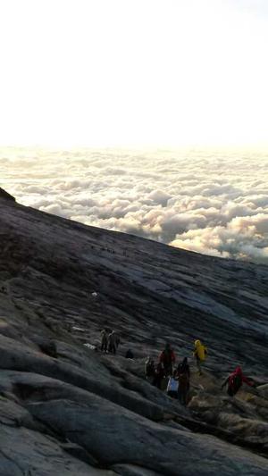 网站seo查询工具截图4