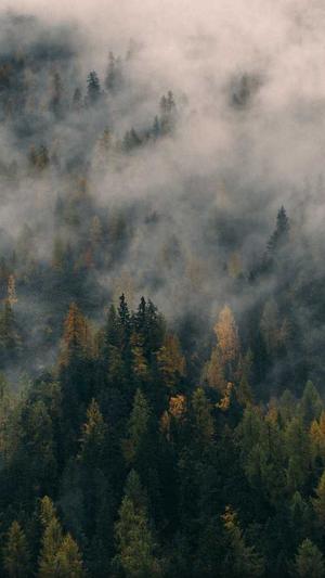 怎么配置蜘蛛池服务器截图2