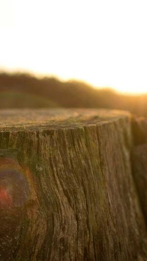 seo网络推广怎么做截图2