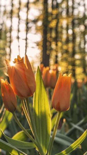 泛目录源码怎么用截图2