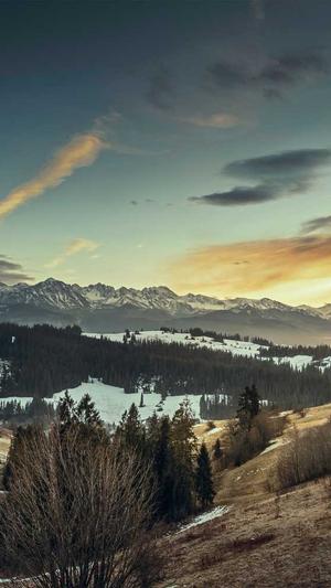永州网站建设截图1