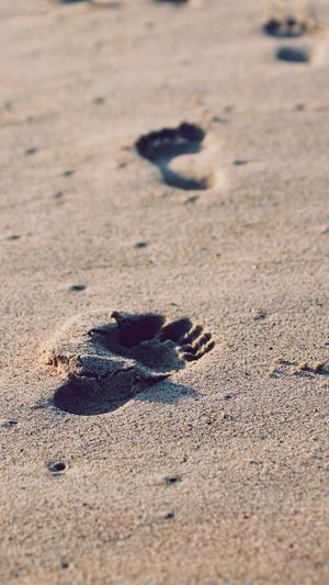 seo推广营销平台蜘蛛池截图4