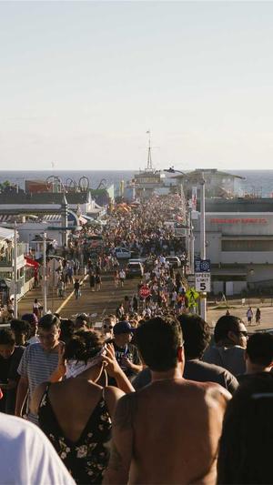 秒收录蜘蛛池seo教程截图4