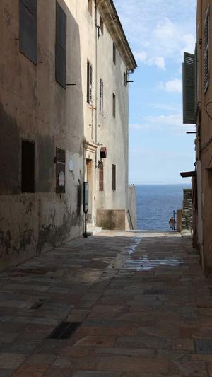 蜘蛛池怎么引蜘蛛截图1