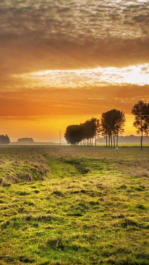 seo自动优化工具截图1