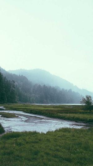 seo蜘蛛池源码截图3