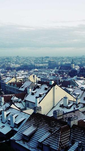 超级蜘蛛池最新截图2