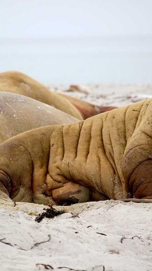 百度seo优化排名截图3