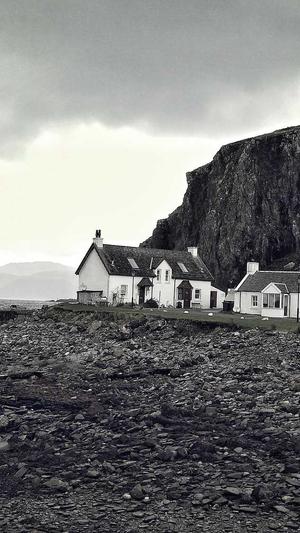 千站云蜘蛛池安装方法截图1