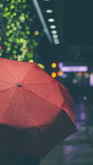 seo工具有哪些截图3