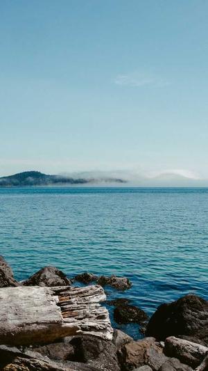 蜘蛛池真的能收录网站截图2