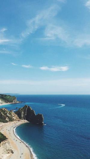 滨州seo优化截图2