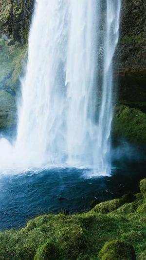 门户网站建设截图2