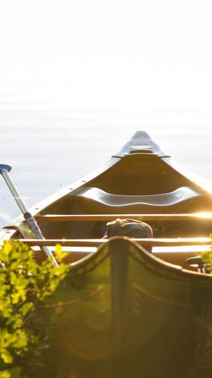 百度seo教程截图5