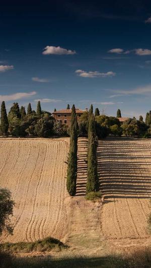 蜘蛛池搭建价格多少钱截图4