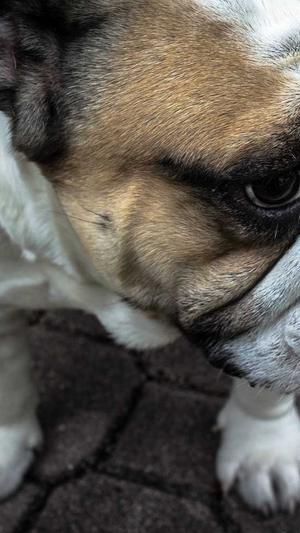 长沙网站建设截图2