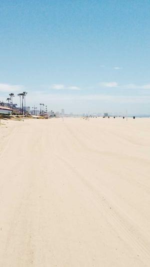 蜘蛛池怎么用视频截图1