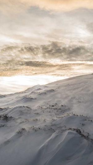 优化seo的工具截图3