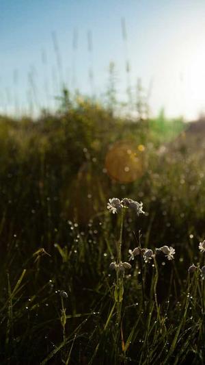 网站建设平台截图1