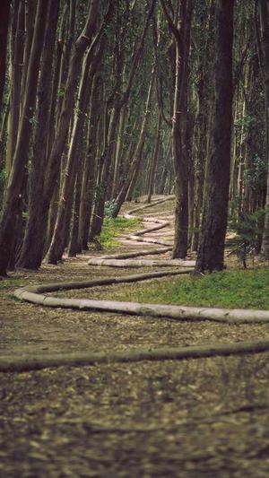 seo排名工具薇欣enuo6688截图2