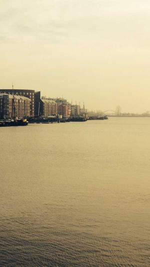 蜘蛛池创建教程图解截图1