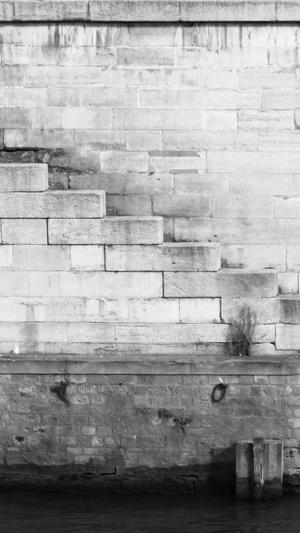 seo蜘蛛池源码截图1