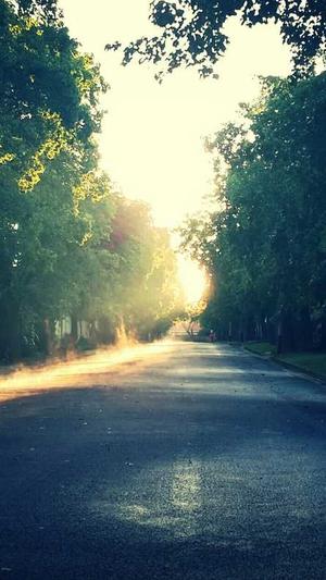 黑帽泛目录脚本截图3