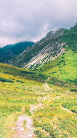 seo优化必备工具截图4