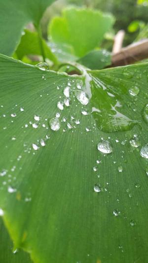 seo外链专员截图1