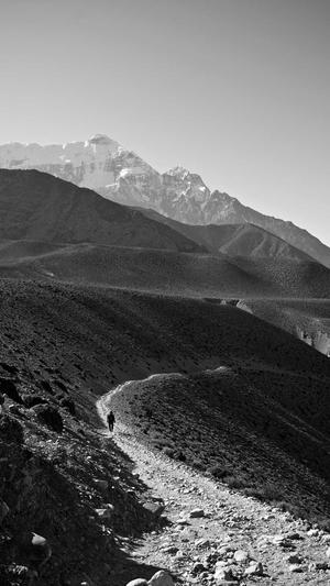 网站建设公司排名截图1
