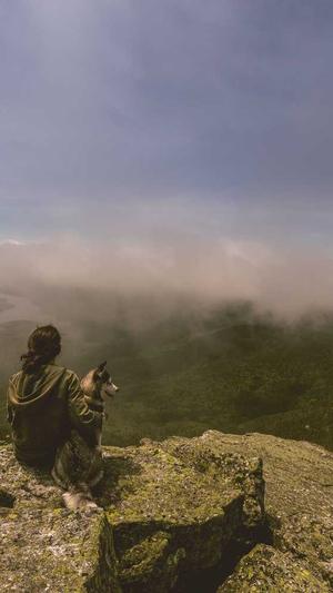 东莞网站建设报价截图3