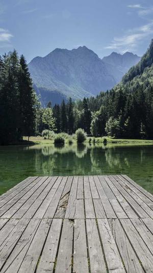 惠州网站建设截图2