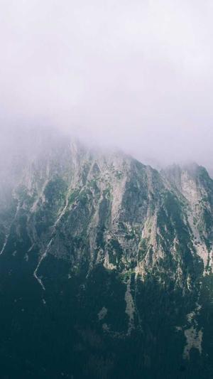 爱站seo工具包是什么截图3