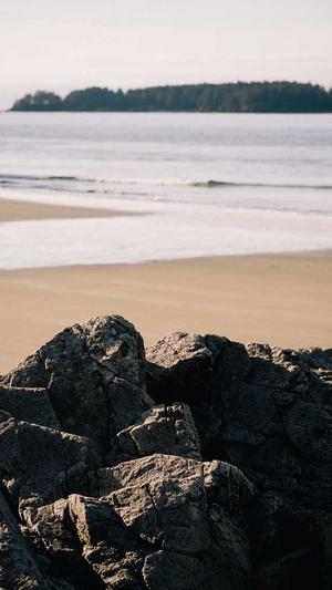 黑帽seo常用工具包截图2