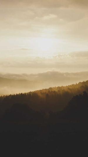 seo优化必备工具截图2