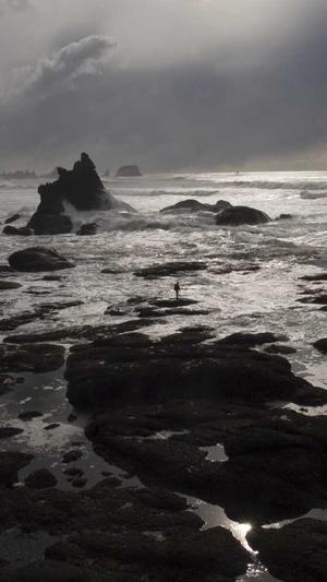 泰安网站建设公司截图5