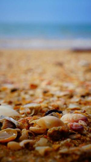 手动搭建蜘蛛池截图5