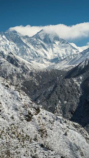 seo工具研发站截图4