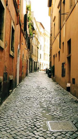 蜘蛛池的原理是什么截图3