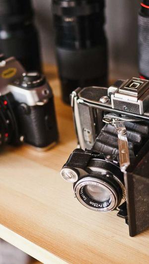 seo双标题伪原创工具截图1