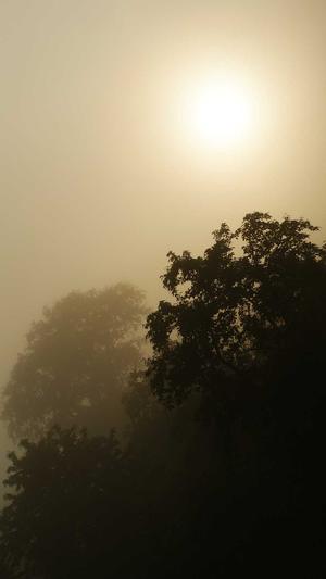 南通seo优化截图3