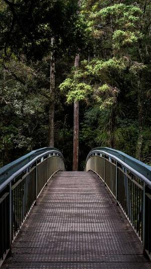 黄浦网站建设截图3