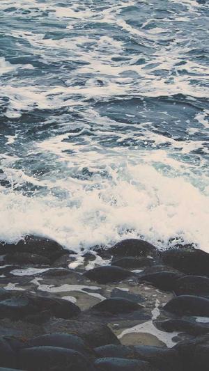 优化seo的工具截图4