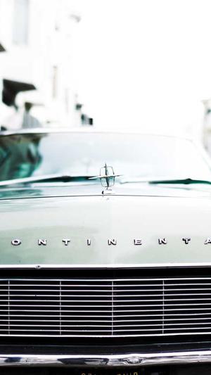 搜狗蜘蛛池快速推广截图3