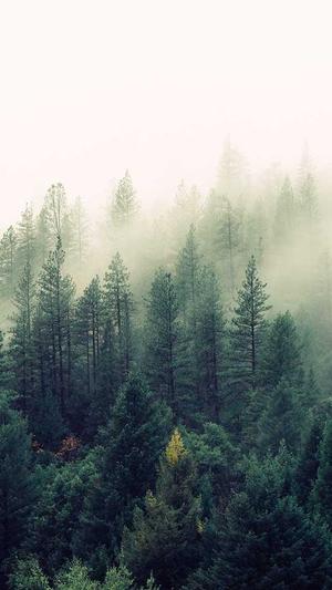 shopify seo 工具截图5