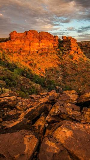 黑帽seo工具截图2